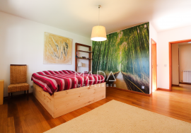 Detached T5 villa on a plot of 2000m2 with indoor pool in Aveleda, Braga