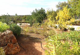 Villa with 3 bedrooms, indoor and outdoor pools, sea view in Barranco de S. Miguel