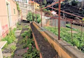 Old house to recover in CALHETA