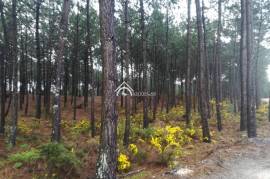 Land Caldas da Rainha Land Caldas da Rainha