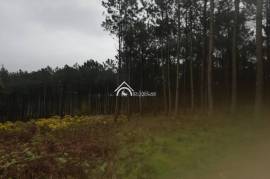 Land Caldas da Rainha