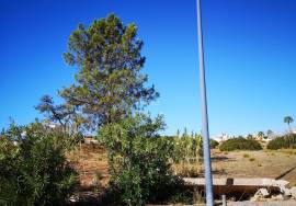 Fantastic land situated on the beach of São Rafael