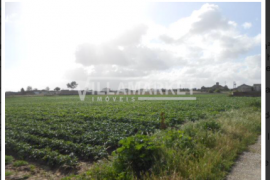 Land with 6 hectares in Montijo