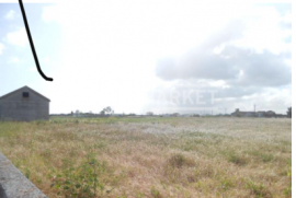 Land with 6 hectares in Montijo