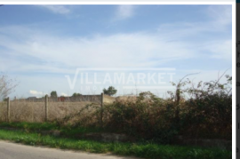 Land with 6 hectares in Montijo