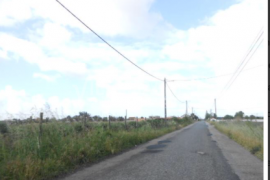 Land with 6 hectares in Montijo