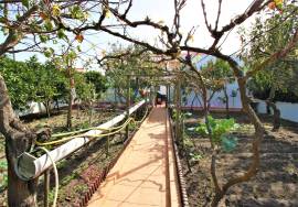 Villa and Restaurant in Rogil, Aljezur