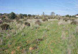 Rustic land in Raposeira with 2840 Sqm