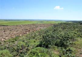 Rustic Land with more than 9 Hectares in Vila do Bispo