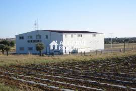 Distinguished 29-Hectare Alentejo Estate with Private Certified Aerodrome & High-Yield Agricultural Land