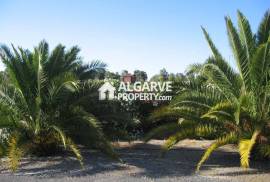 Distinguished 29-Hectare Alentejo Estate with Private Certified Aerodrome & High-Yield Agricultural Land