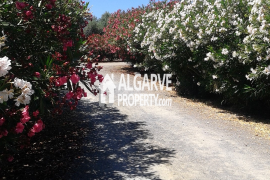 Distinguished 29-Hectare Alentejo Estate with Private Certified Aerodrome & High-Yield Agricultural Land