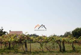 Land Viana do Castelo