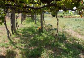 Land Viana do Castelo