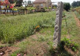 Land Viana do Castelo