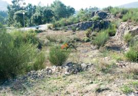 Land Viana do Castelo