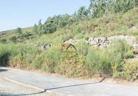 Land Viana do Castelo