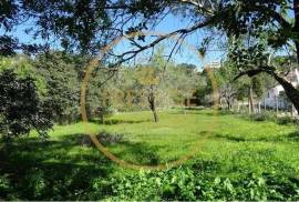 Rustic land with 750 m2, facing south, with good sun exposure is flat, the land is fertile, it is walled, the view is unobstructed, the place is quiet, has water, and electricity nearby