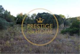 Rustic land with 750 m2, facing south, with good sun exposure is flat, the land is fertile, it is walled, the view is unobstructed, the place is quiet, has water, and electricity nearby