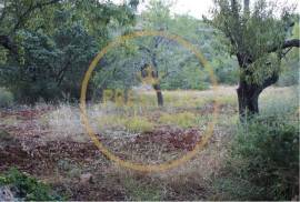 Rustic land with 750 m2, facing south, with good sun exposure is flat, the land is fertile, it is walled, the view is unobstructed, the place is quiet, has water, and electricity nearby