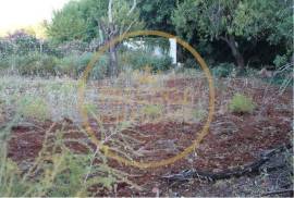 Rustic land with 750 m2, facing south, with good sun exposure is flat, the land is fertile, it is walled, the view is unobstructed, the place is quiet, has water, and electricity nearby