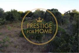 Rustic land with 750 m2, facing south, with good sun exposure is flat, the land is fertile, it is walled, the view is unobstructed, the place is quiet, has water, and electricity nearby