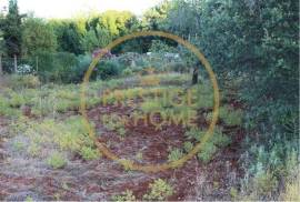 Rustic land with 750 m2, facing south, with good sun exposure is flat, the land is fertile, it is walled, the view is unobstructed, the place is quiet, has water, and electricity nearby