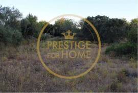 Rustic land with 750 m2, facing south, with good sun exposure is flat, the land is fertile, it is walled, the view is unobstructed, the place is quiet, has water, and electricity nearby