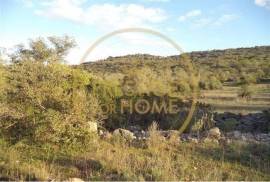 Rustic plot of land with 4640 m2, flat and with planted crops of fig, almond, and olive trees good sun exposure
