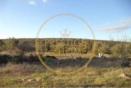 Rustic plot of land with 4640 m2, flat and with planted crops of fig, almond, and olive trees good sun exposure