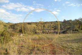 Rustic plot of land with 4640 m2, flat and with planted crops of fig, almond, and olive trees good sun exposure