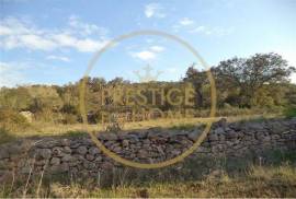 Rustic plot of land with 4640 m2, flat and with planted crops of fig, almond, and olive trees good sun exposure