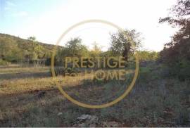 Rustic plot of land with 4640 m2, flat and with planted crops of fig, almond, and olive trees good sun exposure