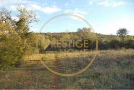 Rustic plot of land with 4640 m2, flat and with planted crops of fig, almond, and olive trees good sun exposure