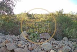 Rustic plot of land with 4640 m2, flat and with planted crops of fig, almond, and olive trees good sun exposure