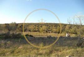 Rustic plot of land with 4640 m2, flat and with planted crops of fig, almond, and olive trees good sun exposure