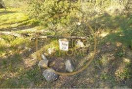 Rustic plot of land with 4640 m2, flat and with planted crops of fig, almond, and olive trees good sun exposure