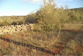 Rustic plot of land with 4640 m2, flat and with planted crops of fig, almond, and olive trees good sun exposure