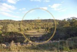 Rustic plot of land with 4640 m2, flat and with planted crops of fig, almond, and olive trees good sun exposure