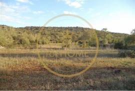 Rustic plot of land with 4640 m2, flat and with planted crops of fig, almond, and olive trees good sun exposure