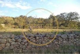 Rustic plot of land with 4640 m2, flat and with planted crops of fig, almond, and olive trees good sun exposure