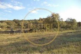 Rustic plot of land with 4640 m2, flat and with planted crops of fig, almond, and olive trees good sun exposure