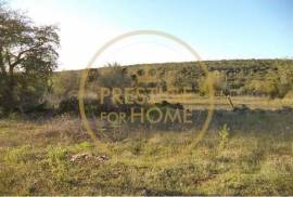 Rustic plot of land with 4640 m2, flat and with planted crops of fig, almond, and olive trees good sun exposure