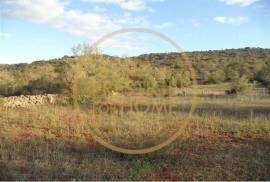 Rustic plot of land with 4640 m2, flat and with planted crops of fig, almond, and olive trees good sun exposure