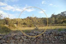 Rustic plot of land with 4640 m2, flat and with planted crops of fig, almond, and olive trees good sun exposure