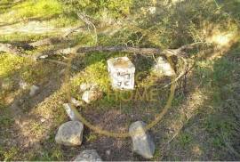 Rustic plot of land with 4640 m2, flat and with planted crops of fig, almond, and olive trees good sun exposure