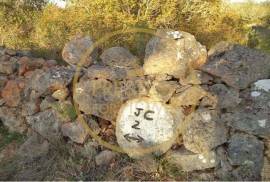 Rustic plot of land with 4640 m2, flat and with planted crops of fig, almond, and olive trees good sun exposure