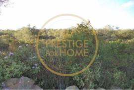 Rustic plot of land with 4640 m2, flat and with planted crops of fig, almond, and olive trees good sun exposure
