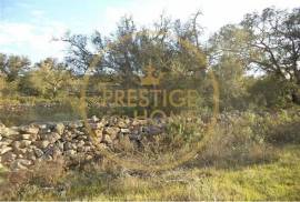 Rustic plot of land with 4640 m2, flat and with planted crops of fig, almond, and olive trees good sun exposure