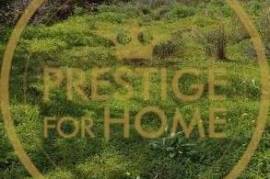 Land for sale at 67 000 € Rustic land with 6300m2 located 10 minutes from Olhão